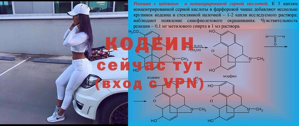 сатива Абаза