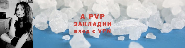сатива Абаза