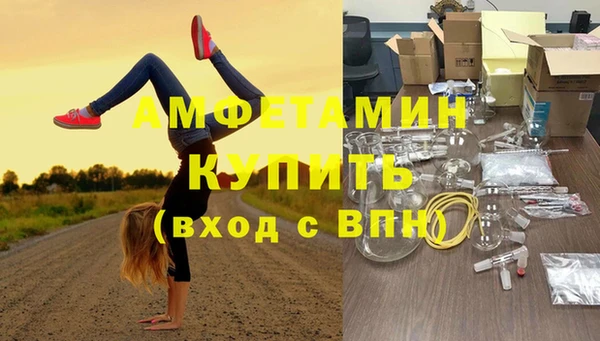 сатива Абаза