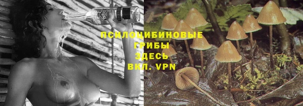прущая мука Абдулино