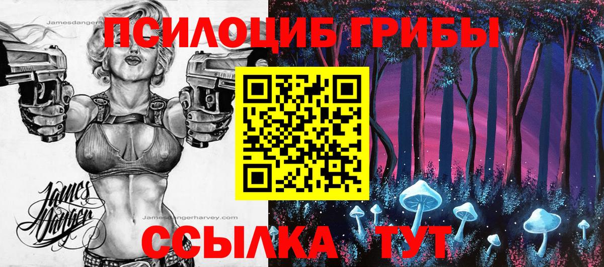 Галлюциногенные грибы Magic Shrooms  Вход с VPN  наркошоп  Тутаев 